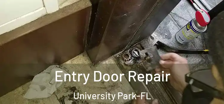  Entry Door Repair University Park-FL